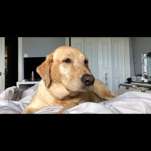 Meet your Posher, Mya